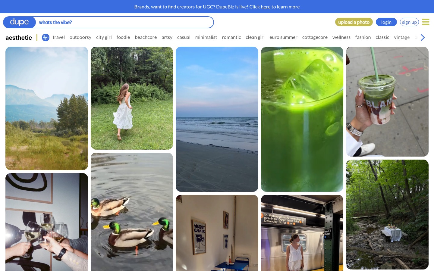 Dupe website homepage