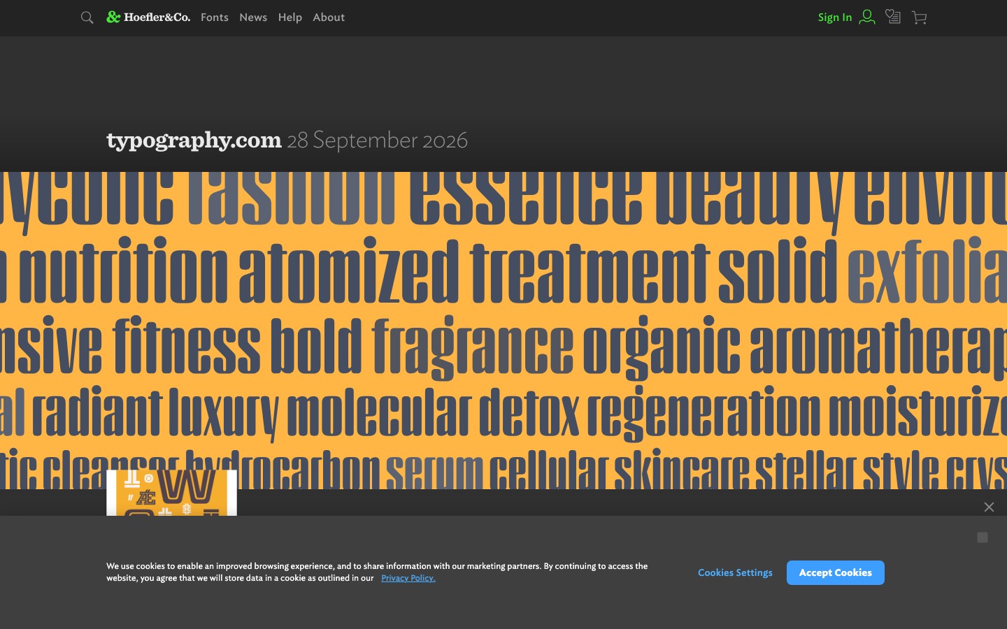 Hoefler&Co. website homepage
